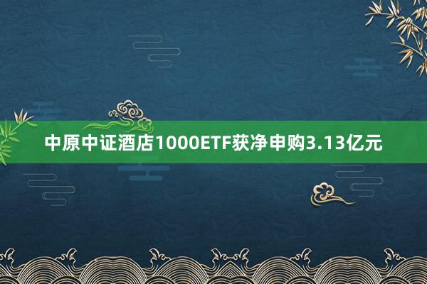 中原中证酒店1000ETF获净申购3.13亿元